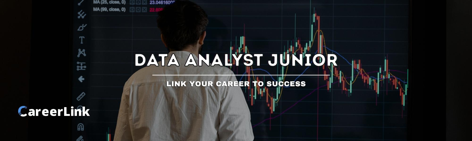 Data Analyst junior