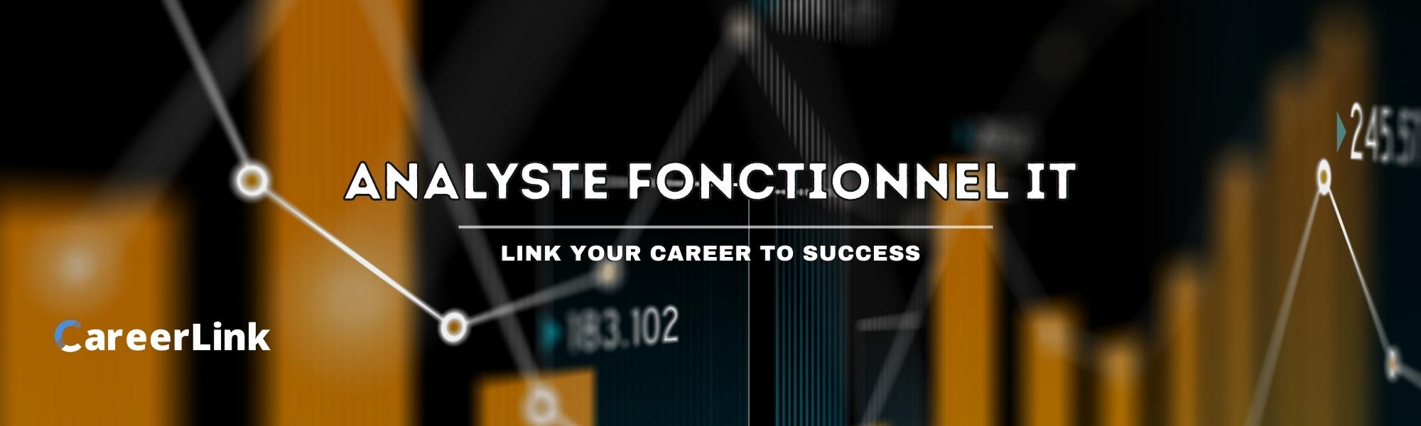 Analyste fonctionnel IT
